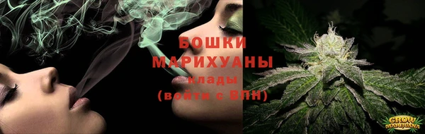 сатива Верея