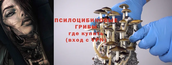 сатива Верея