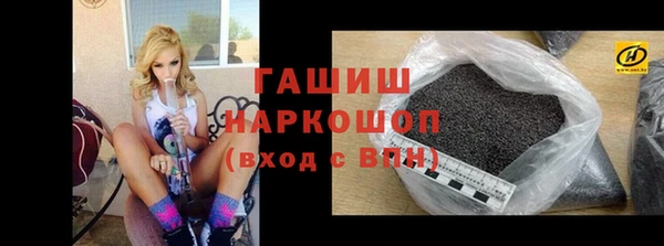 сатива Верея
