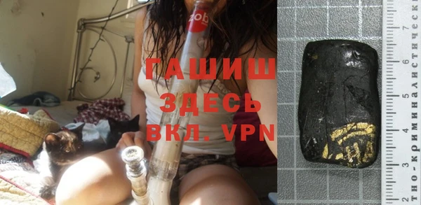 сатива Верея