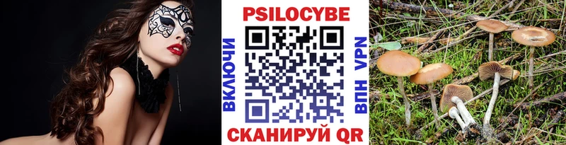 Галлюциногенные грибы Psilocybine cubensis  Мглин 